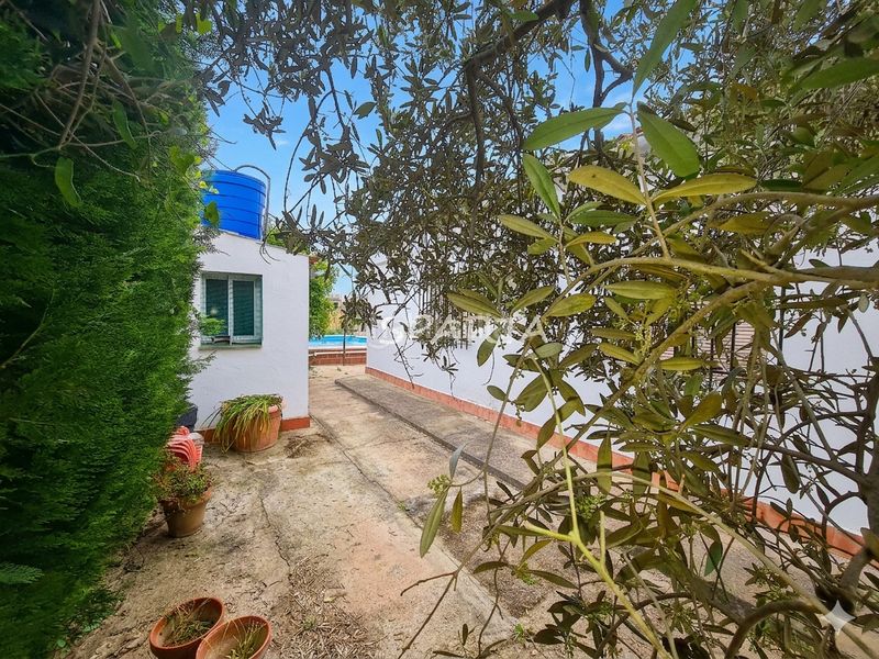 Foto a5eceddd-5590-412a-83e8-b9ef7c3277a7. Masia amb aparcament piscina a Sanlúcar la Mayor