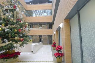 Lloguer Oficina  Kansas city. Oficina en alquiler en nervin  santa justa, 1 dormitorio.