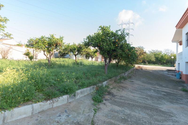 Foto 9c159661-8fdb-4801-966d-238068f80654. Xalet amb aparcament piscina a Oromana Alcalá de Guadaira