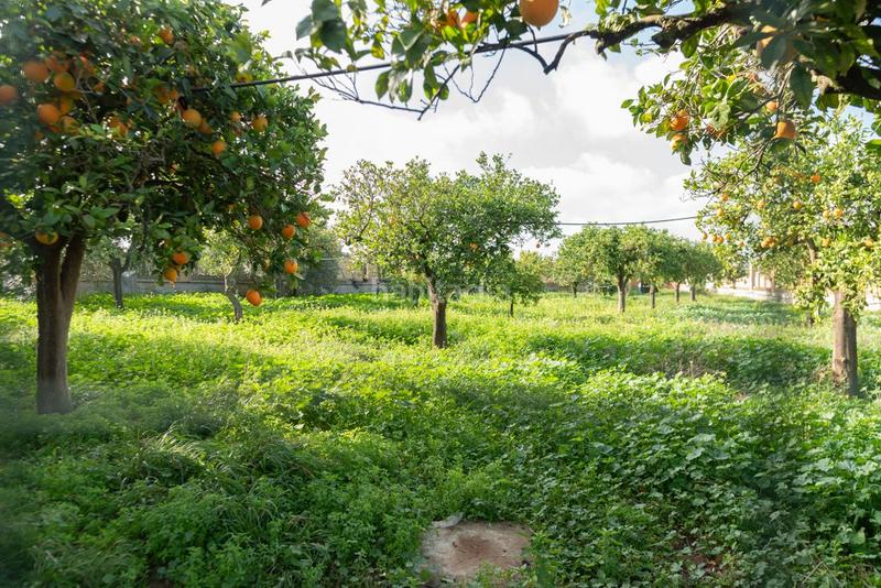 Foto d4d83f79-0bc2-4206-9f37-edf84c13cf1d. Xalet amb aparcament piscina a Oromana Alcalá de Guadaira
