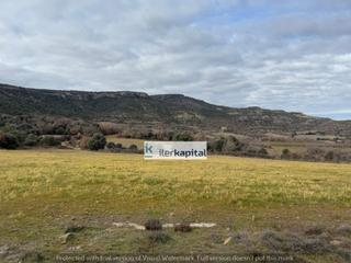 Finca rústica a Tolva. Se venden 25 hectáreas de terreno agrícola y ganadero en luzás,