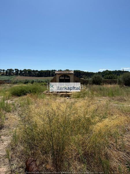 Foto 93f9a676-90b6-4bc8-b77a-0c035a4db6ab. Mas dans Sucs Lleida
