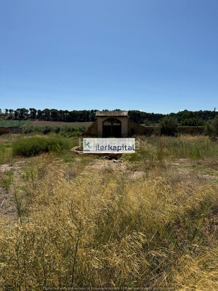 Foto ca937714-7630-4bed-af17-b12160ca17fd. Mas dans Sucs Lleida