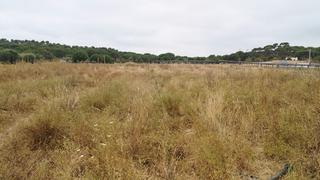 Finca rústica a Núcleo Urbano. Finca rustica en aljaraque a 2 km del pueblo 1??8??0??0??0?? m2-