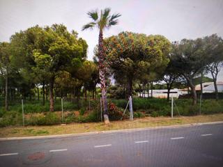 Terreny residencial a Dehesa - Monacilla. Parcela urbana en la monacilla - 1??0??9??0??0??0?? se vende con