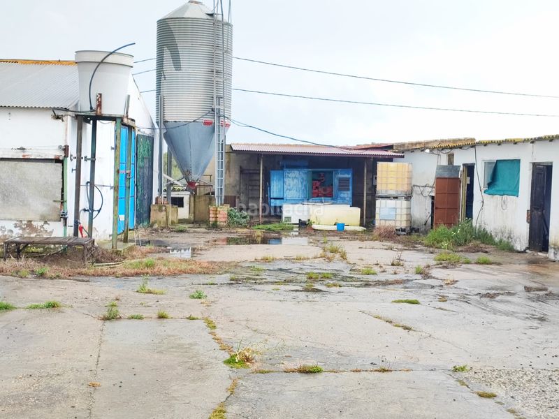 Foto 4f6897d6-932c-4bee-a2bb-bc7752604463. Finca rústica a Núcleo Urbano Aljaraque