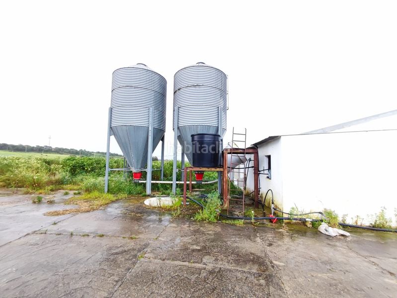 Foto e7a49257-8764-468c-8435-314b463043d7. Finca rústica a Núcleo Urbano Aljaraque