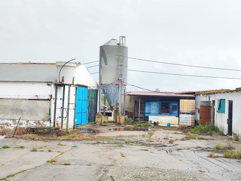 Foto fb0eb7e8-ed51-48ca-ae9f-996e88f00657. Finca rústica a Núcleo Urbano Aljaraque