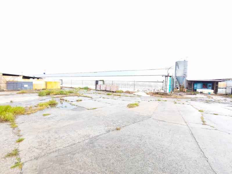 Foto 26912475-e4cd-4ff2-a69a-137a830bbc41. Fondo rustico in Cartaya