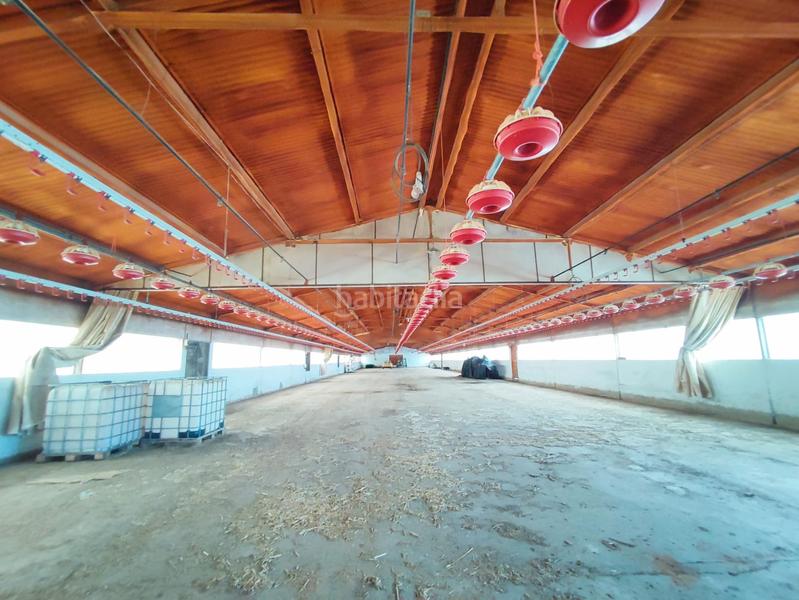 Foto 9c690989-b5a3-4533-9264-0df97cc62a34. Fondo rustico in Cartaya