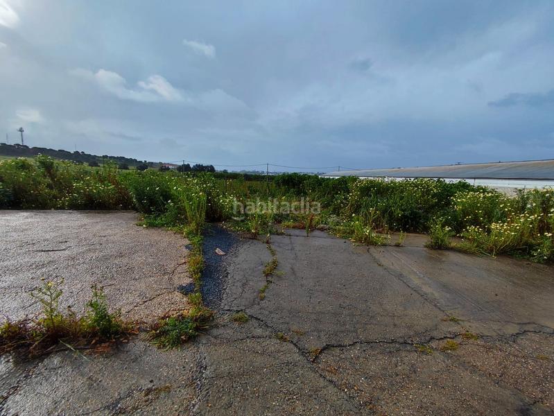 Foto a35c8ffa-fae5-4ec2-b635-e4dd8c680811. Fondo rustico in Cartaya