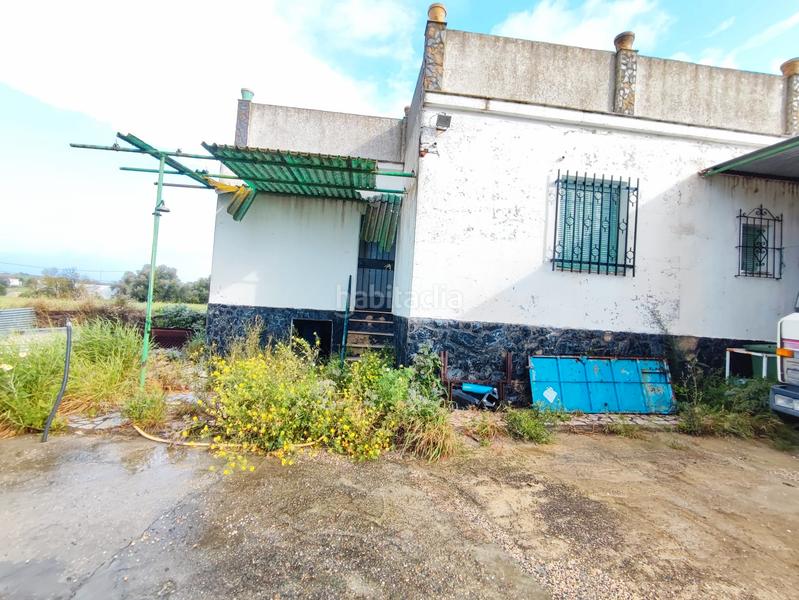 Foto c83d2a31-1161-4f20-90fe-f09466febff1. Fondo rustico in Cartaya