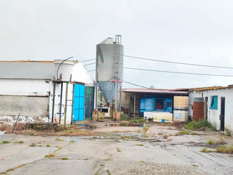 Foto fb0eb7e8-ed51-48ca-ae9f-996e88f00657. Fondo rustico in Cartaya