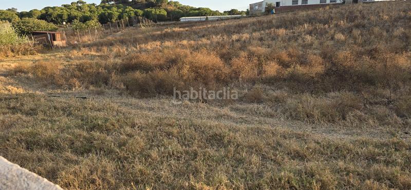 Foto cc1a2069-629a-4387-8ab1-ed3e3e260927. Finca rústica a n/a a Núcleo Urbano Aljaraque