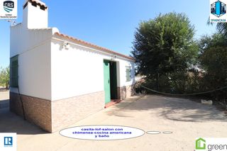 Masia  E-1 99. ??? parcela en san juan del puerto (huelva) ???