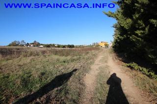 Finca rústica a Núcleo Urbano. Parcela rustica en el rincón aljaraque (huelva) ref-6254 precio: