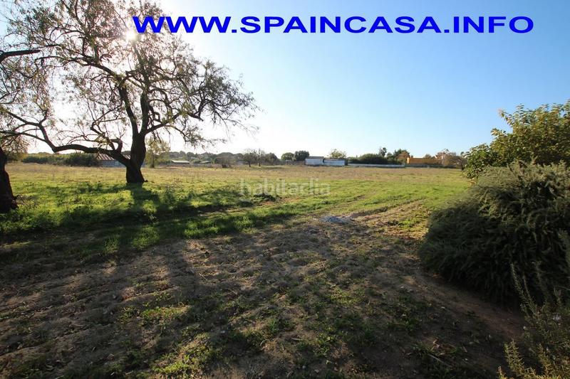 Foto 4e82ed48-75c4-429e-bbcf-40d61447e966. Finca rústica a Núcleo Urbano Aljaraque