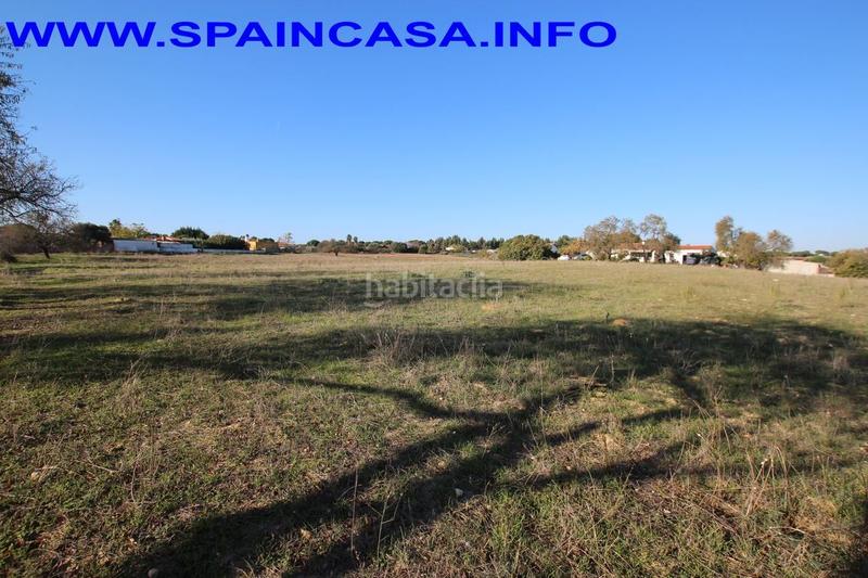 Foto e1a1b3b7-ce72-4315-875d-d1db9dcf7ac6. Finca rústica a Núcleo Urbano Aljaraque