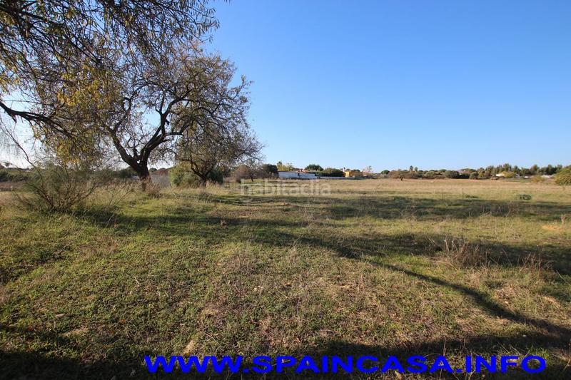 Foto f01e74cd-e4da-4118-b576-c025d2c8f1ff. Finca rústica a Núcleo Urbano Aljaraque