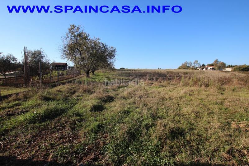 Foto fc118fbd-ddc7-4929-805c-78d4598a2717. Finca rústica a Núcleo Urbano Aljaraque