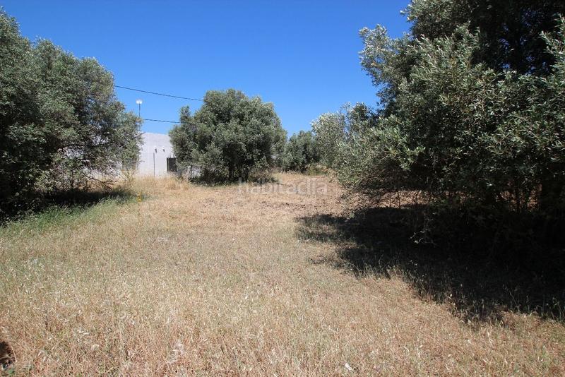 Foto 19a5a193-1e10-4bac-b7e7-544506736763. Finca rústica a Núcleo Urbano Aljaraque