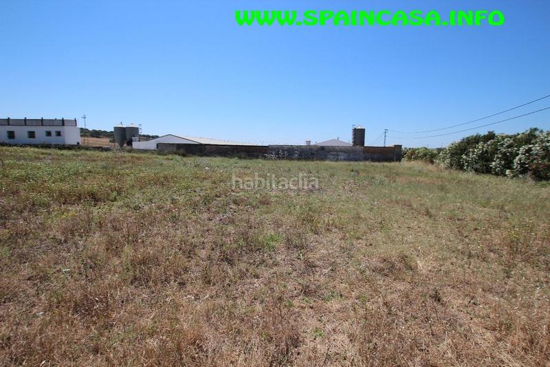 Foto 8d830ac2-7fe6-4e25-bc47-02f3ee9bee2d. Finca rústica a Núcleo Urbano Aljaraque