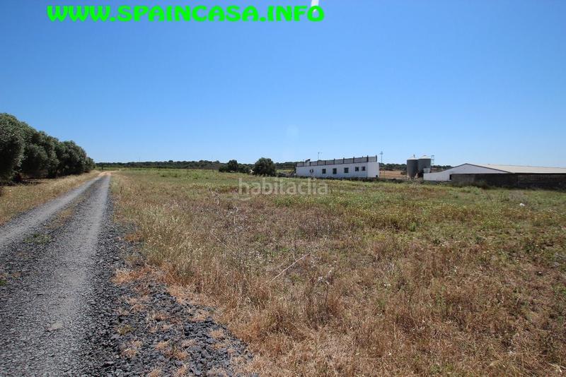 Foto b467ee3b-5825-4ea3-9764-1a95e8fb3242. Finca rústica a Núcleo Urbano Aljaraque