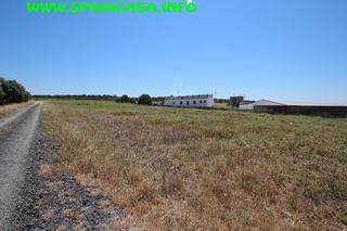 Finca rústica a Núcleo Urbano. Finca de secano en aljaraque ref-7170 precio: 60.000€