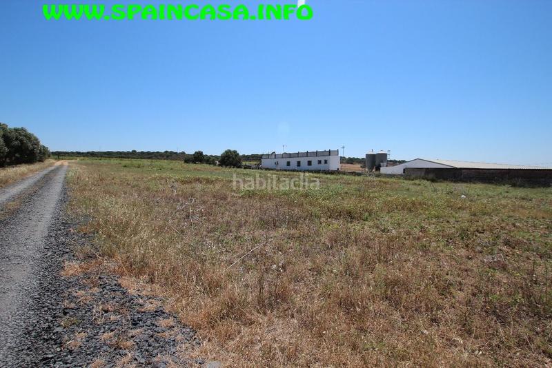 Foto fa4dc7ee-cc34-4a10-9c14-c273055cff26. Finca rústica a Núcleo Urbano Aljaraque