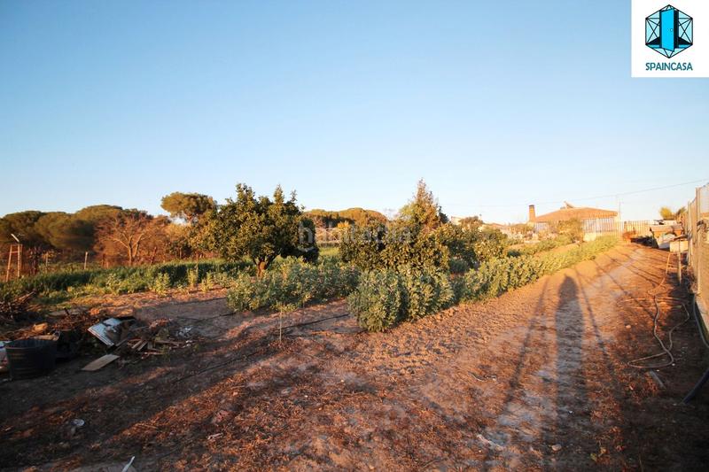 Foto c0757975-0e87-4744-a84c-14b0e68321bd. Chalet  independiente con parcela de 2.600m2 + loft ref-7133 -!!!!!! ahora !!!! 240.000€???????? en Aljaraque