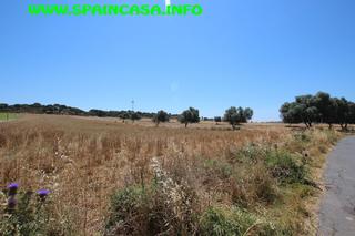 Finca rústica a Núcleo Urbano. Finca de secano en aljaraque ref-7169 precio: 179.590€