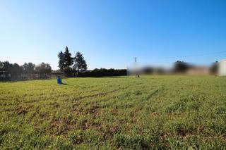 Finca rústica a Núcleo Urbano. Finca de 10.000m² en aljaraque (huelva) ref-7121 precio 216.000€