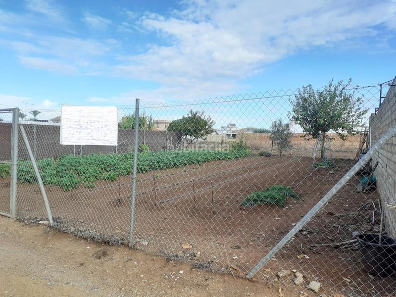 Foto 696d5774-09c5-4414-9e0c-4a727dd4e702. Finca rústica quieres hacer tu sueño realidad, esta puede ser la ocasión... en Chipiona