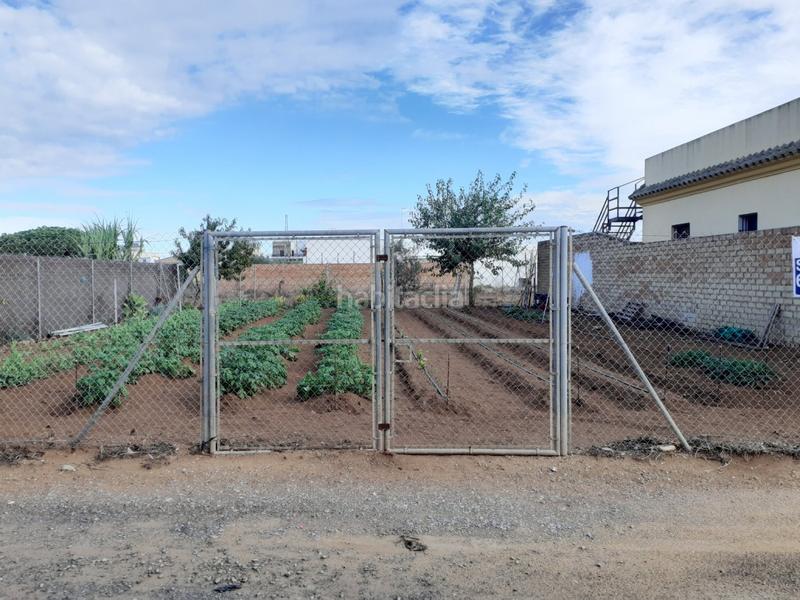 Foto aa27b51f-8bee-4d39-84fe-8e971341384d. Finca rústica quieres hacer tu sueño realidad, esta puede ser la ocasión... en Chipiona