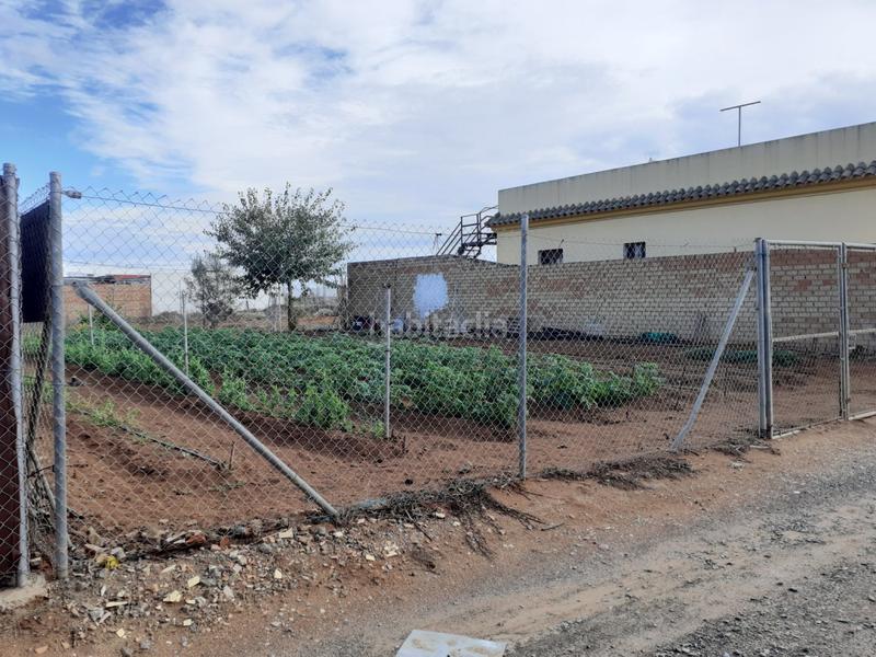 Foto dcc3ca27-5a00-40f7-9f6f-f156ce259233. Finca rústica quieres hacer tu sueño realidad, esta puede ser la ocasión... en Chipiona