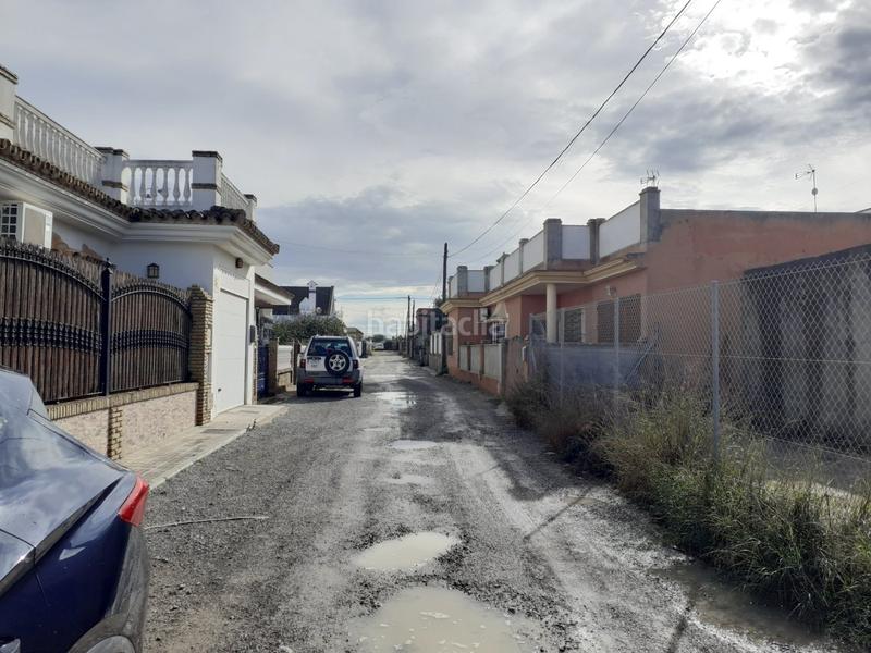 Foto f01b5cd8-baad-44ff-82f6-44ddb4d6a040. Finca rústica quieres hacer tu sueño realidad, esta puede ser la ocasión... en Chipiona