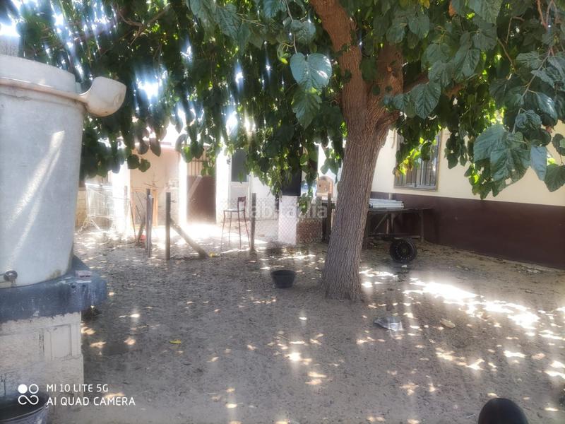 Foto 029b5a74-9238-48dd-ade3-b0adab23fa06. Maison dans Playa Cruz del Mar Chipiona