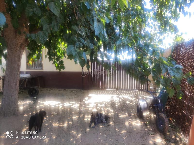 Foto 68438c49-1478-4da6-8c47-83e88aac9ce9. Maison dans Playa Cruz del Mar Chipiona