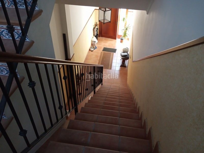 Foto f71b891c-5776-40cf-a4ff-b9aa934cfdaf. Pis a Centro Chipiona