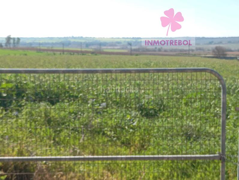 Foto 49510b14-5a6c-4d98-bfa5-2026ad137bde. Chalet ocasion expectecular finca de 10398m de parcelay 511m construidos en Carrión de los Céspedes