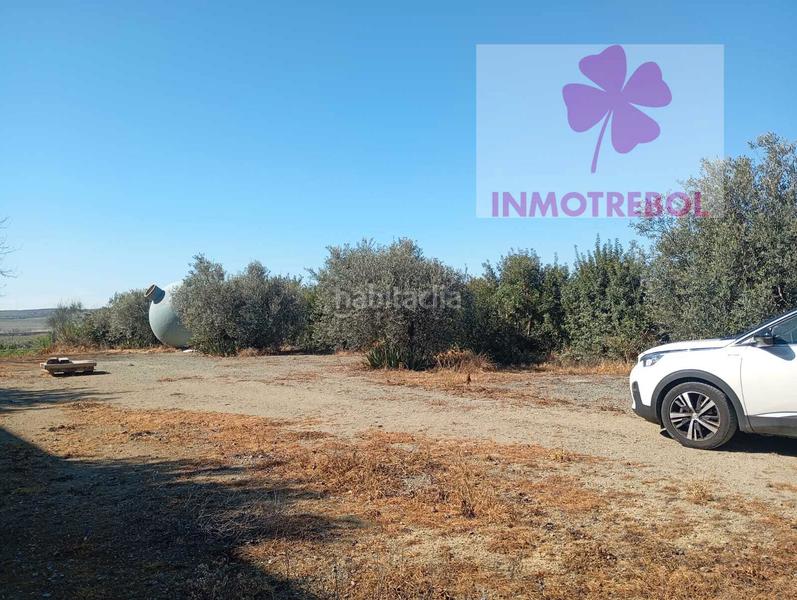 Foto 5df777f5-93aa-4f52-a72c-eb876df9b827. Chalet ocasion expectecular finca de 10398m de parcelay 511m construidos en Carrión de los Céspedes