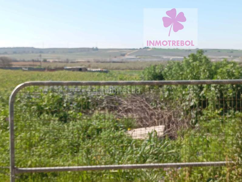 Foto c5897de2-2192-4135-b980-5e650df63ae5. Chalet ocasion expectecular finca de 10398m de parcelay 511m construidos en Carrión de los Céspedes