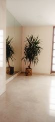 Rent Flat in Triana Casco Antiguo. Gran piso en una magnifica zona