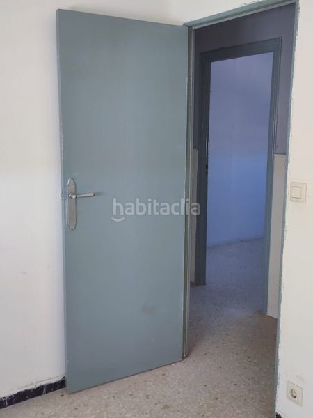 Foto fbd9b3ba-ab80-4013-8b71-ae2273e47761. Pis a Gines