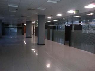 Alquiler Oficina en Parque María Luisa -Giralda Sur. Oficina alquiler sevilla - zona sur la palmera