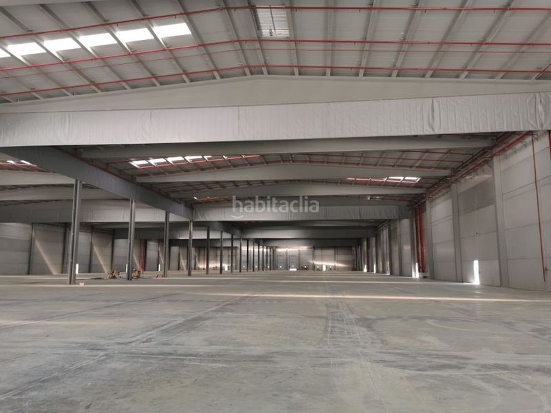 Foto f6d84685-ae36-4355-a7cf-ee52c01b6554. Rent industrial building in San Carlos - San José Sevilla
