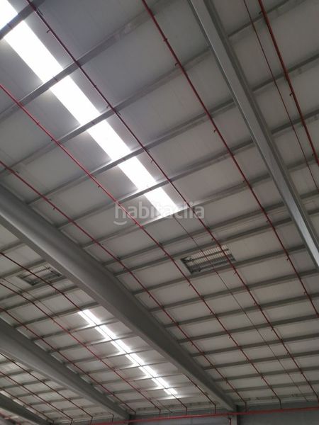Foto a997280e-7a11-4eab-9e10-5b9f7ec7907b. Rent industrial building in La Motilla - Fuente del Rey Dos Hermanas