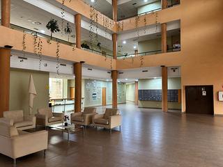 Affitto Ufficio  Glorieta fernando quiones. Oficina alquiler tomares