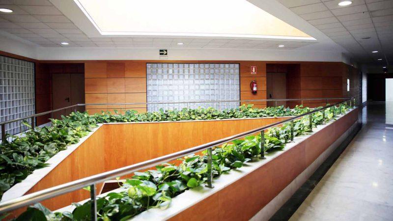 Foto 3b597833-1d1d-410e-928a-4e9eee62f8dc. Alquiler oficina  alquiler este en Parque Alcosa Sevilla