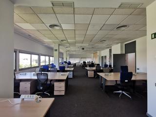 Miete Büro in San Pablo. Oficina alquiler nervion